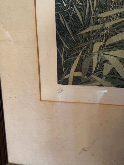 Phil Greenwood (b. 1943) Stormgrass, 1978
Etching,...