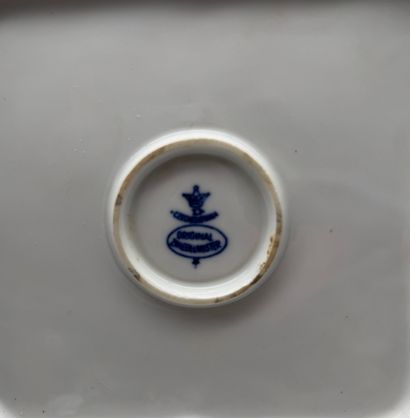 Bavaria Tirschenreuth, Kahla, Original Zwiebelmuster...