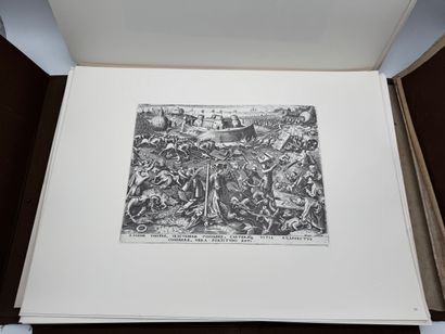 Infolio portfolio by Pieter Bruegel the Elder...