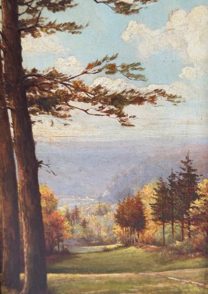 Théophile-Pierre-Odon DEROCHE (pseudonym:...
