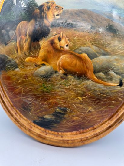 Oil on curved wood - Lions in the savannah
Painting...