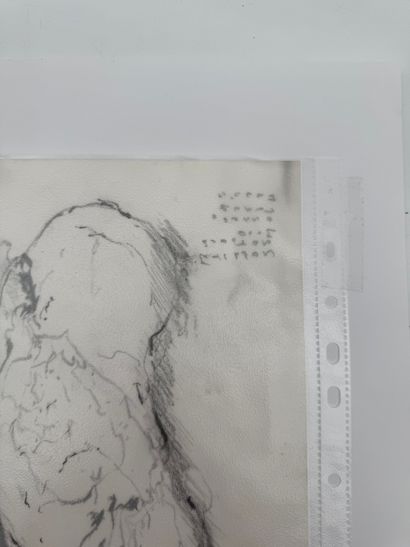 German school (20th century) - Anatomical...