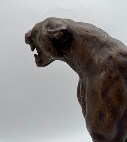 Thomas François Cartier (1879-1943) - Panther
Regula...