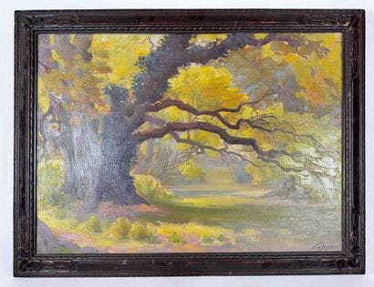 Georges Jessen Un coin de la forêt de Soignes,...