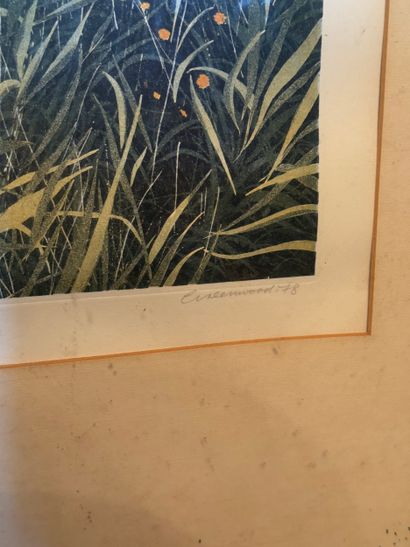 Phil Greenwood (b. 1943) Stormgrass, 1978
Etching,...