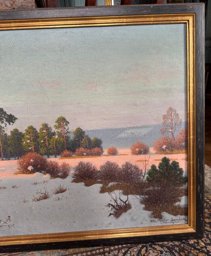 Fritz Müller-Landeck (1865-1942) - Paysage...