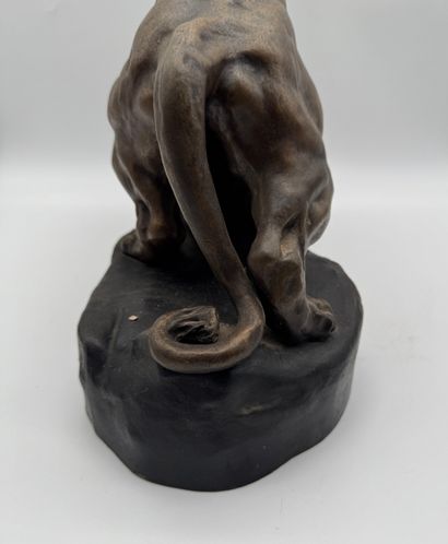 Thomas François Cartier (1879-1943) - Panther
Regula...