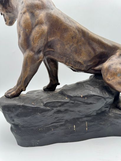Thomas François Cartier (1879-1943) - Panther
Regula...