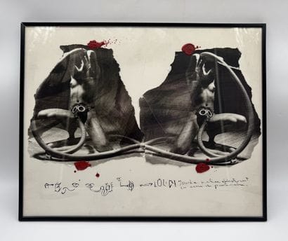 Conceptual erotic composition
Mixed media...