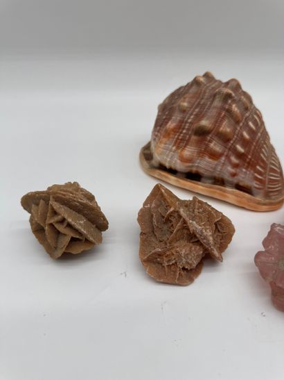 Set of four natural decorative items
Set...