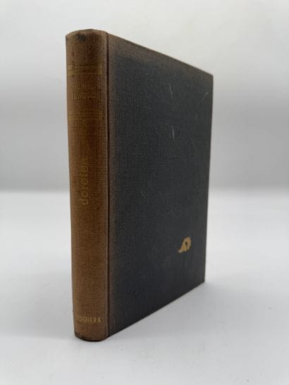 Dorotea - Muriel Elwood
Hardcover novel
In...