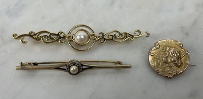 Lot de trois broches fantaisie : Monet, FIX...