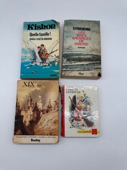 Set of four books 
- *The Wild Berries of...