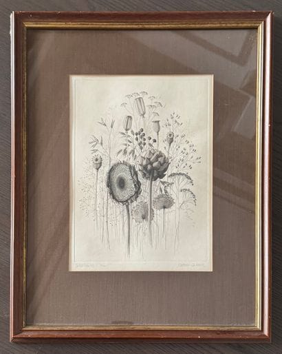 Dried Flowers - Kathleen CADDICK (1937)
Eau-forte,...