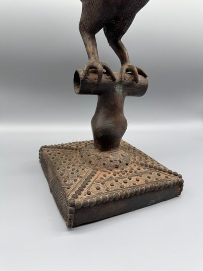 ROYAL ROOSTER, OKPA - Southern Nigeria -...
