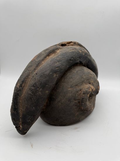 AQUATIC ANIMAL HELMET MASK, BAMOUM OR YORUBA...