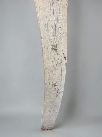 TOGU NA POLE - Mali - Dogon
Mid-20th century....