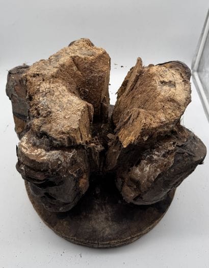 FRAGMENT OF A CHAIR WITH CARYATIDS - Bissagos...