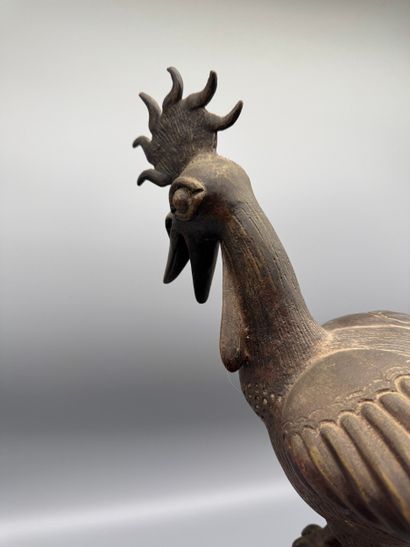 ROYAL ROOSTER, OKPA - Southern Nigeria -...