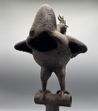 ROYAL ROOSTER, OKPA - Southern Nigeria -...