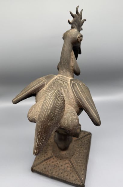 ROYAL ROOSTER, OKPA - Southern Nigeria -...