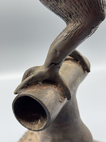 ROYAL ROOSTER, OKPA - Southern Nigeria -...