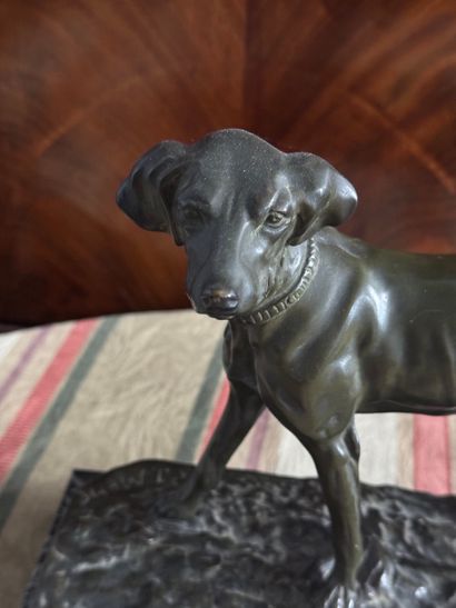 Pierre-Jules Mêne (XIX) Chien de chasse
Sculpture...