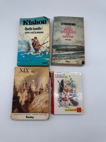 Set of four books 
- *The Wild Berries of...