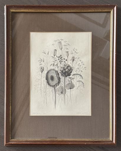 Dried Flowers - Kathleen CADDICK (1937)
Eau-forte,...