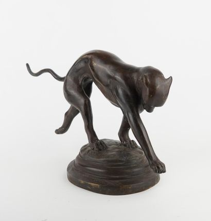 Chat en bronze
Sur une base circulaire
XXème...