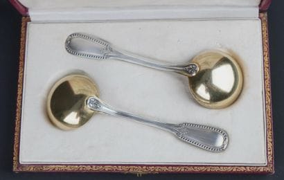 Paire de cuillères à crème en argent 950°/00...