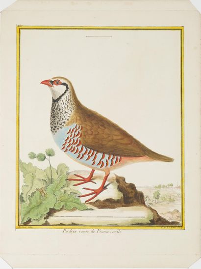François-Nicolas MARTINET (1731-1800), d'après
Suite...