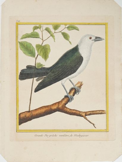 François-Nicolas MARTINET (1731-1800), d'après
Suite...
