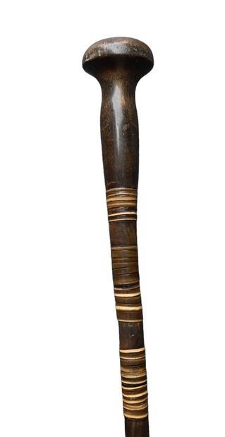 Walking cane with horn handle and horn disk...