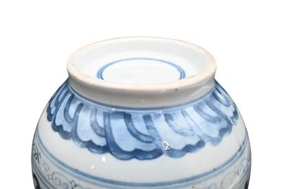 Vase en porcelaine chinoise bleu et blanc,...