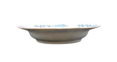 Assiette en porcelaine bleue et blanche,...
