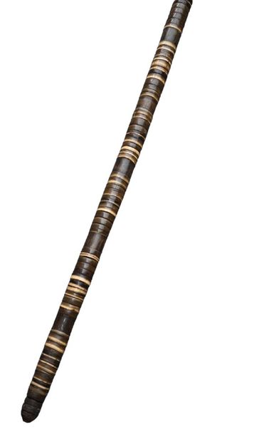 Walking cane with horn handle and horn disk...