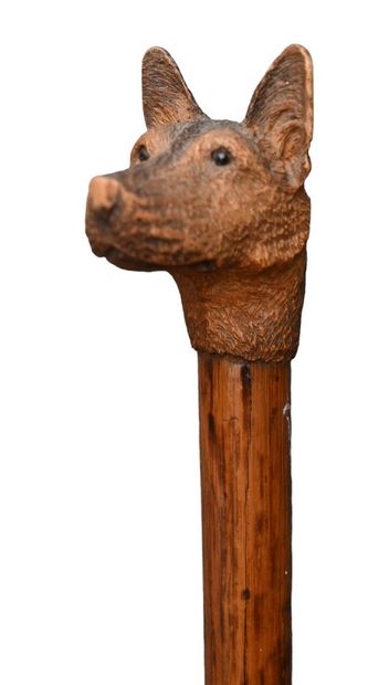 Carved wooden cane with dog head handle,...