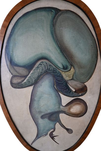 Educational painting on canvas - Belgium...