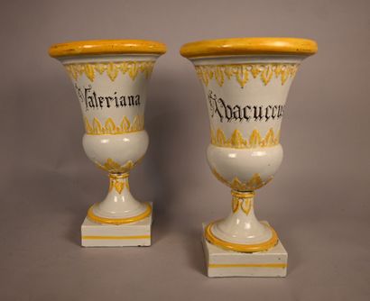 Pair of glazed earthenware Médicis vases,...