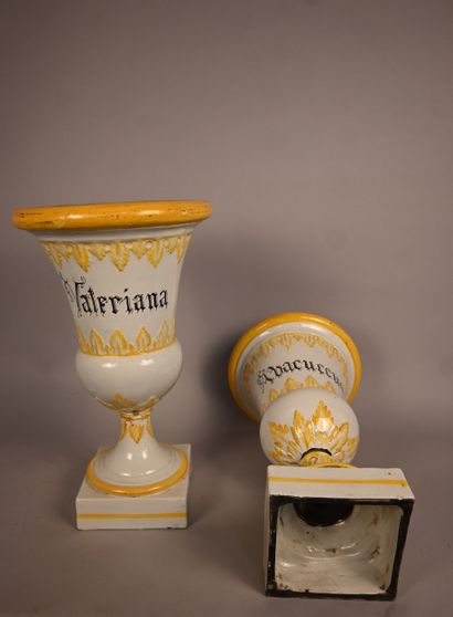 Pair of glazed earthenware Médicis vases,...
