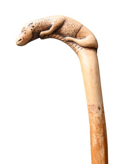 Carved wooden cane with zoomorphic handle,...