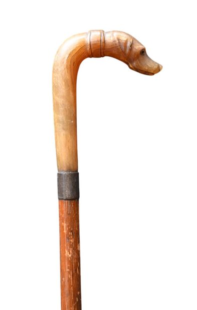 Walking stick with dog-head carved horn handle,...