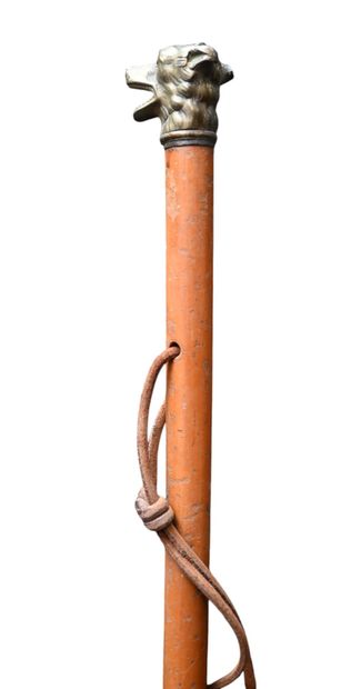 Brass pommel cane in the shape of a dog's...