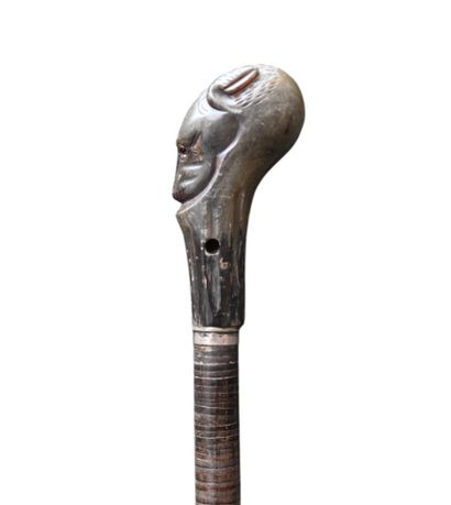 Cane with dog-head knob, late XIXᵉ - early...