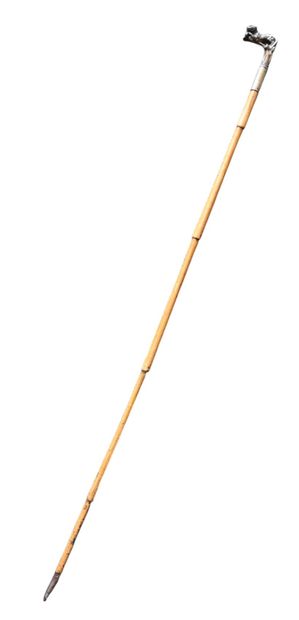Walking stick with brass handle featuring...