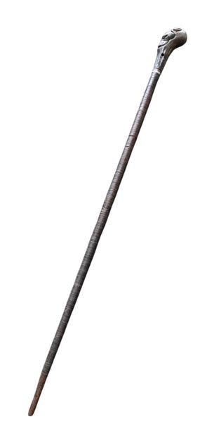 Cane with dog-head knob, late XIXᵉ - early...