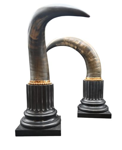 Pair of decorative horns on black marble...
