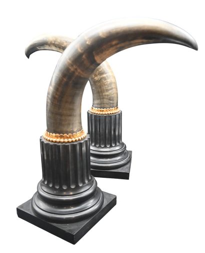 Pair of decorative horns on black marble...