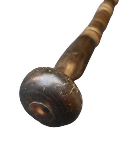 Walking cane with horn handle and horn disk...